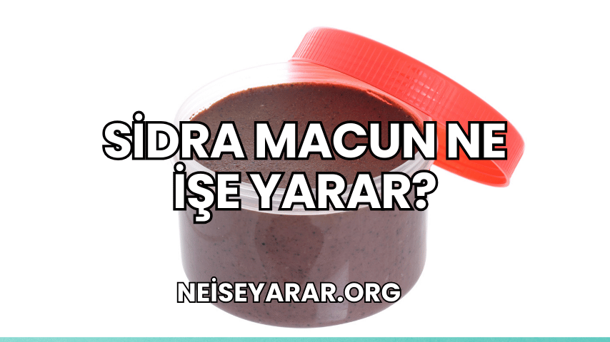 Sidra Macun Ne İşe Yarar?