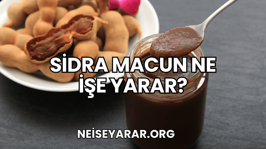 Sidra Macun Ne İşe Yarar?