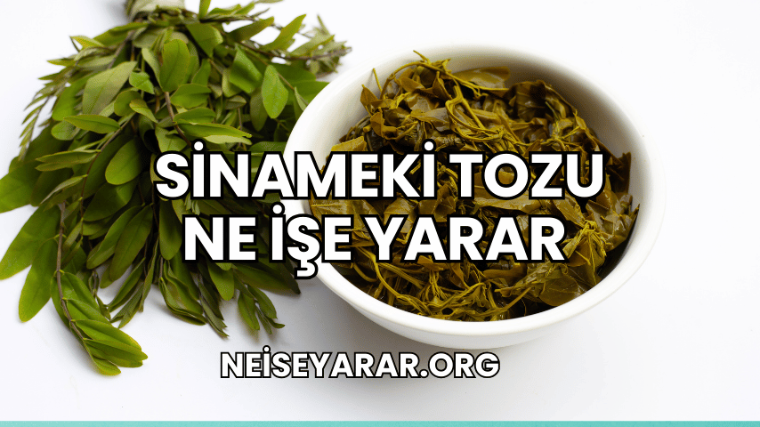 Sinameki Tozu Ne İşe Yarar