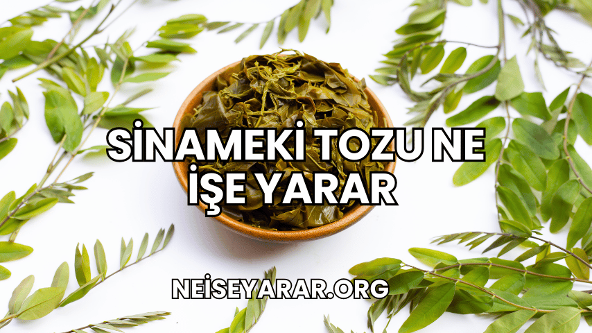 Sinameki Tozu Ne İşe Yarar