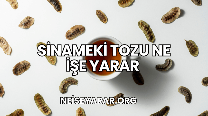 Sinameki Tozu Ne İşe Yarar