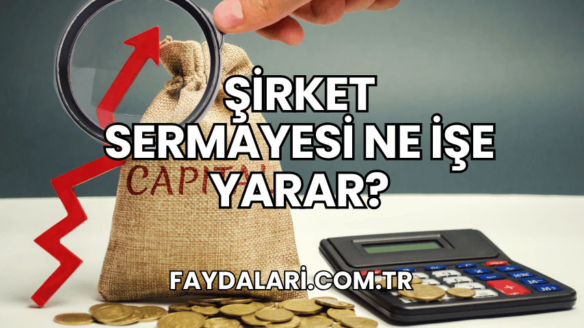 Şirket Sermayesi Ne İşe Yarar?