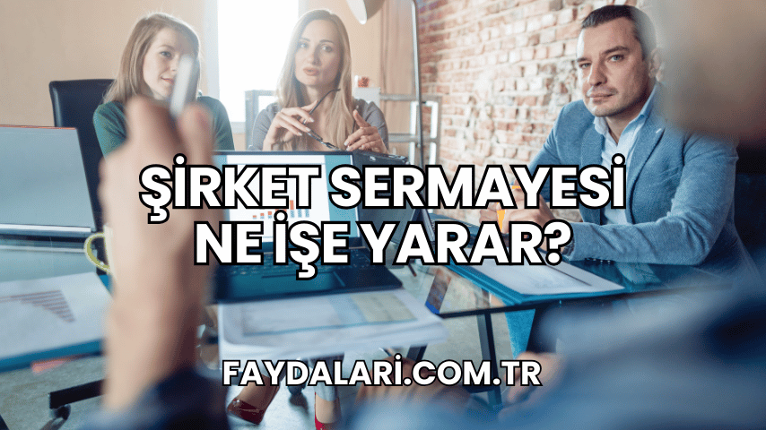 Şirket Sermayesi Ne İşe Yarar?