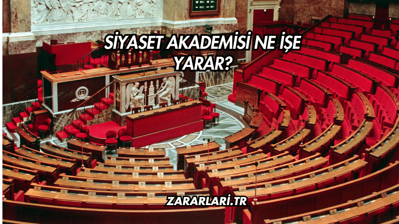 Siyaset Akademisi Ne İşe Yarar?