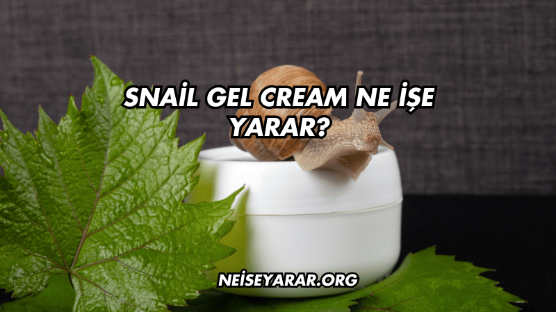 Snail Gel Cream Ne İşe Yarar?