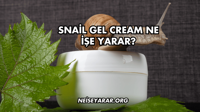 Snail Gel Cream Ne İşe Yarar?