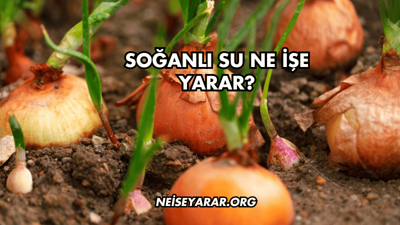 Soğanlı Su Ne İşe Yarar?