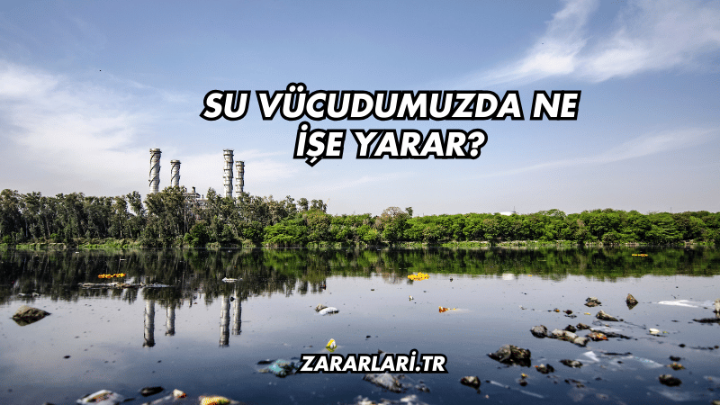 Su Vücudumuzda Ne İşe Yarar?