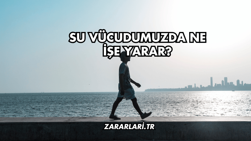 Su Vücudumuzda Ne İşe Yarar?