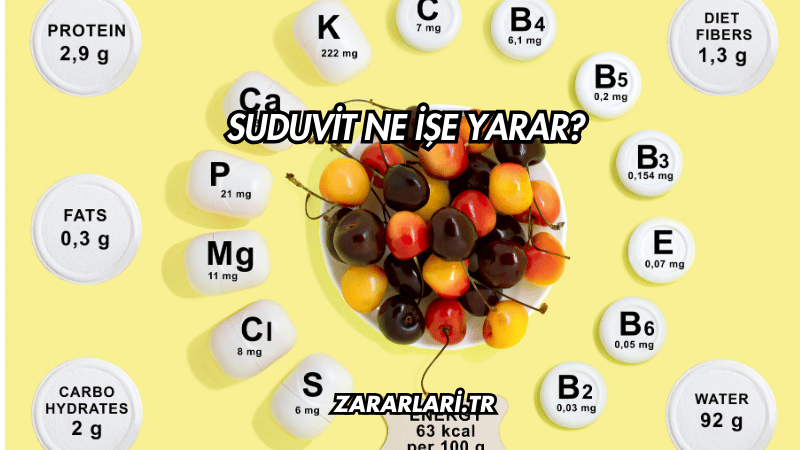 Suduvit Ne İşe Yarar?