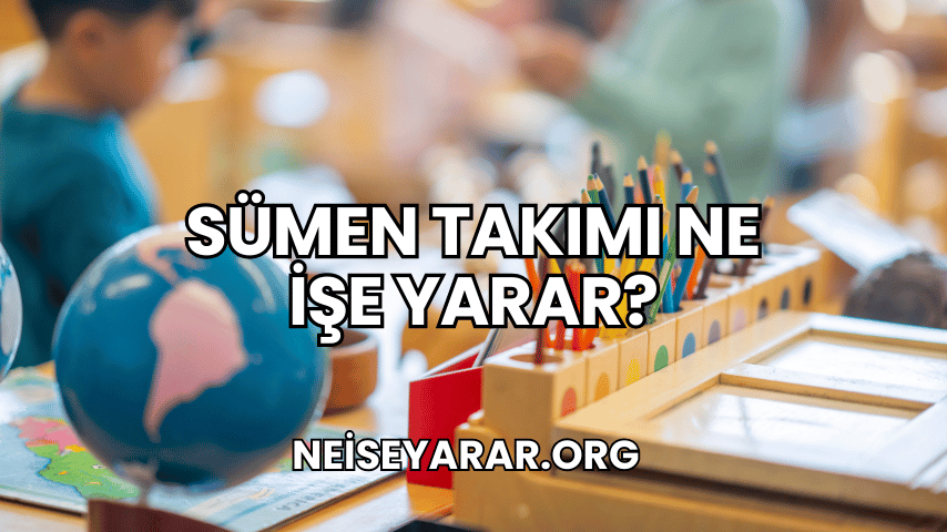 Sümen Takımı Ne İşe Yarar?