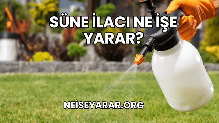 Süne İlacı Ne İşe Yarar?