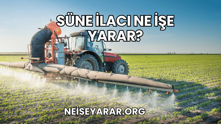 Süne İlacı Ne İşe Yarar?