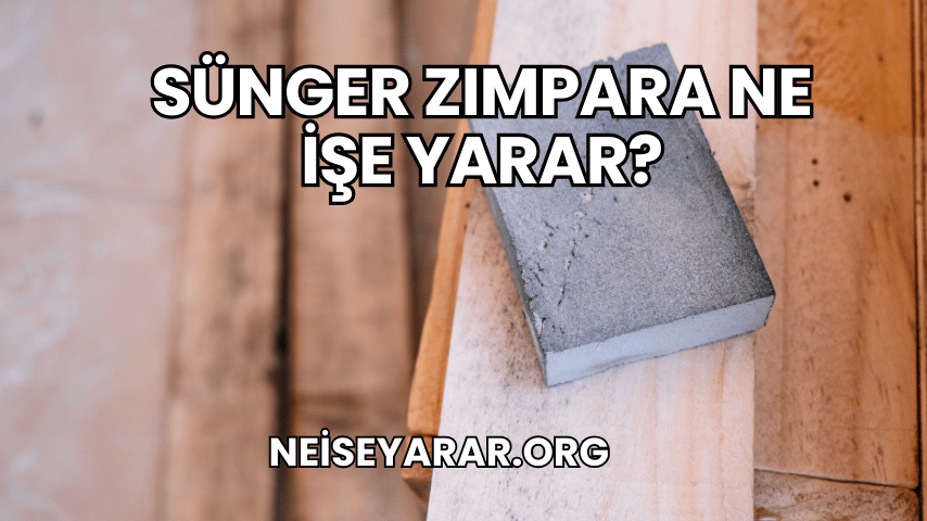 Sünger Zımpara Ne İşe Yarar?