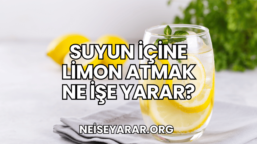 Suyun İçine Limon Atmak Ne İşe Yarar?