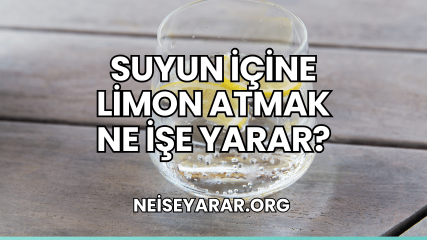 Suyun İçine Limon Atmak Ne İşe Yarar?