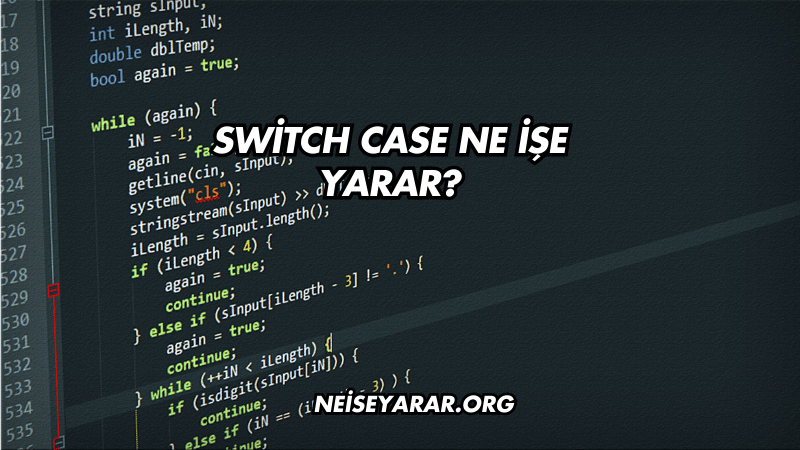 Switch Case Ne İşe Yarar?