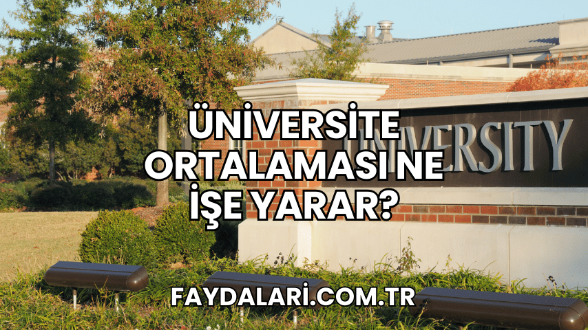 Üniversite Ortalaması Ne İşe Yarar?