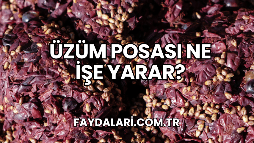 Üzüm Posası Ne İşe Yarar?