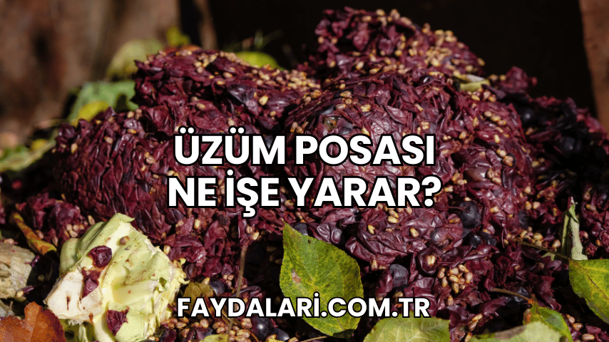 Üzüm Posası Ne İşe Yarar?