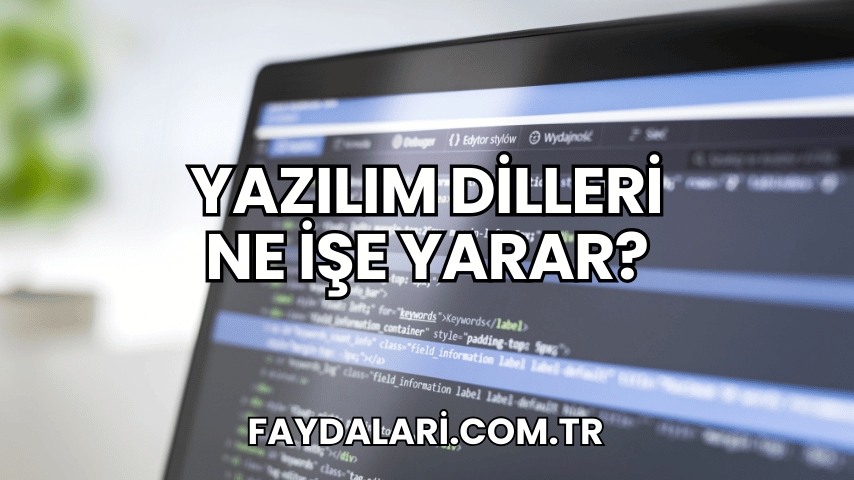 Yazılım Dilleri Ne İşe Yarar?