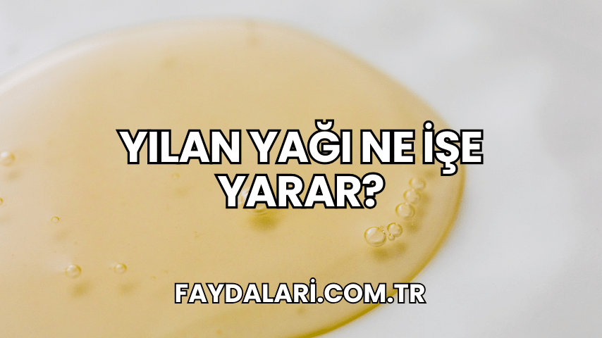 Yılan Yağı Ne İşe Yarar?