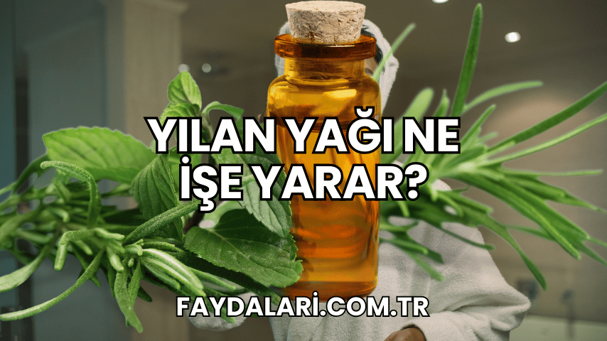 Yılan Yağı Ne İşe Yarar?