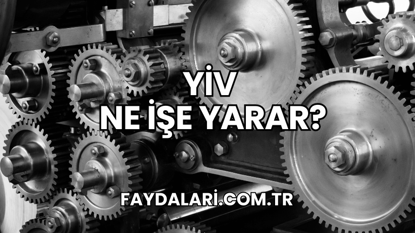 Yiv Ne İşe Yarar?