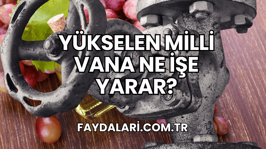 Yükselen Milli Vana Ne İşe Yarar?