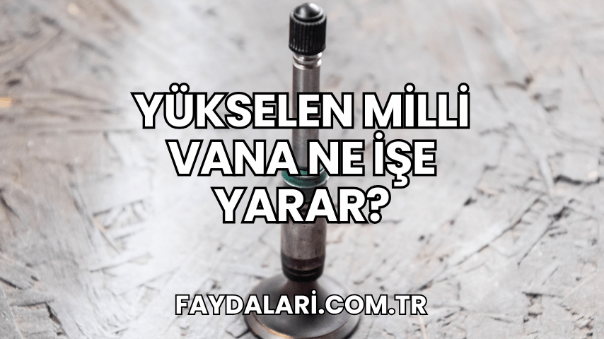 Yükselen Milli Vana Ne İşe Yarar?