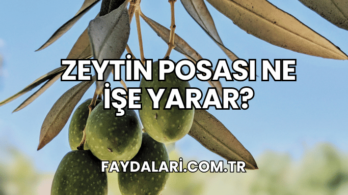 Zeytin Posası Ne İşe Yarar?