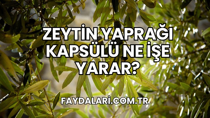 Zeytin Yaprağı Kapsülü Ne İşe Yarar?