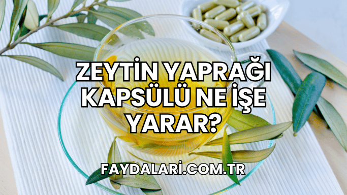 Zeytin Yaprağı Kapsülü Ne İşe Yarar?