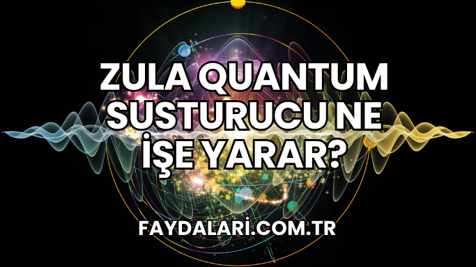 Zula Quantum Susturucu Ne İşe Yarar?