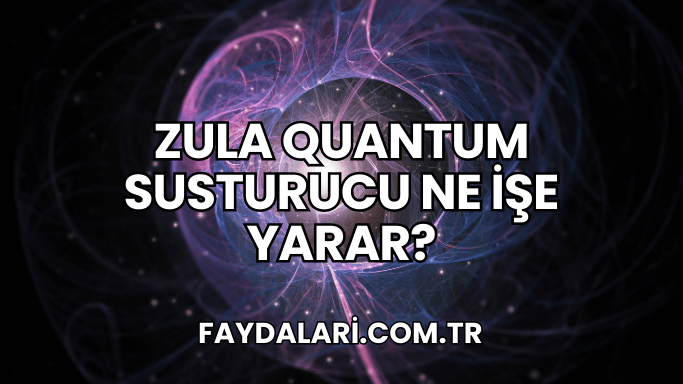 Zula Quantum Susturucu Ne İşe Yarar?