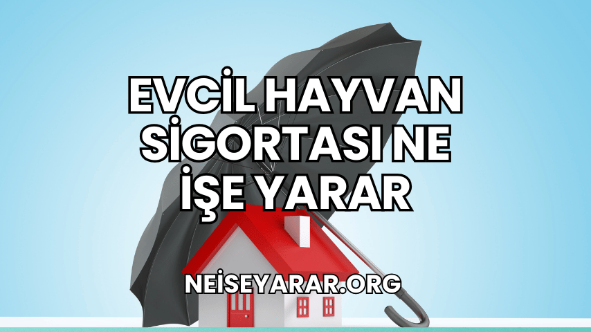 Evcil Hayvan Sigortası Ne İşe Yarar