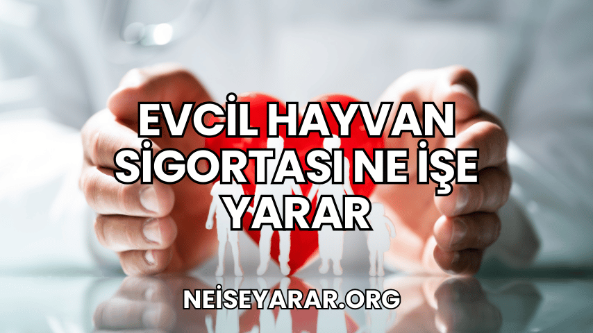 Evcil Hayvan Sigortası Ne İşe Yarar