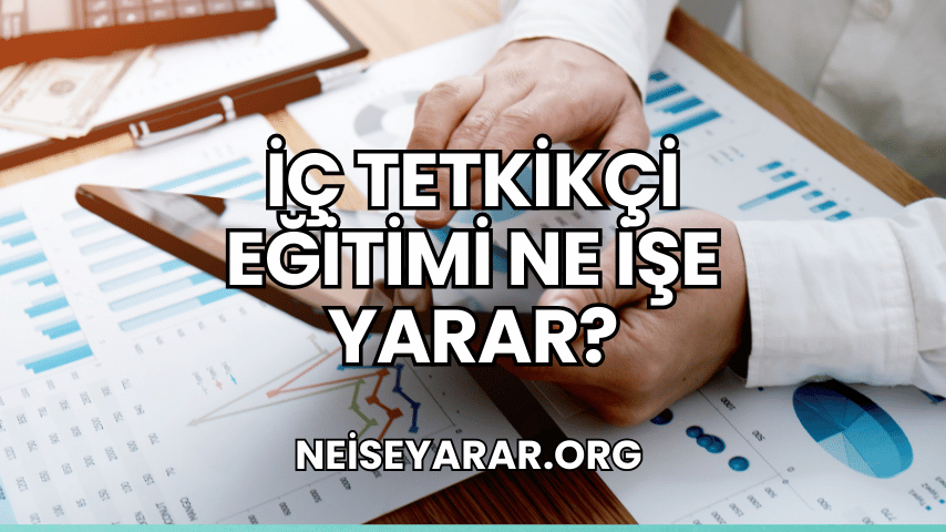 İç Tetkikçi Eğitimi Ne İşe Yarar?