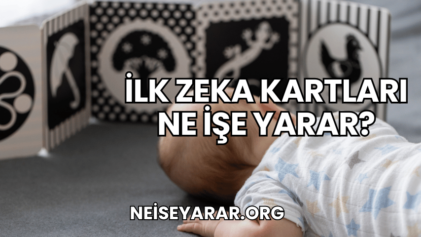 İlk Zeka Kartları Ne İşe Yarar?