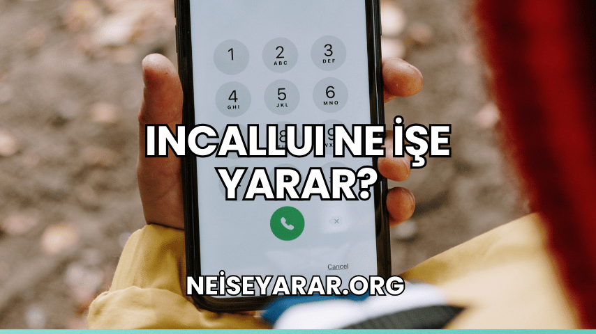 IncallUI Ne İşe Yarar?