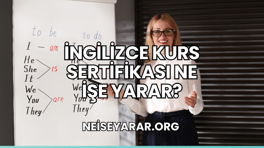 İngilizce Kurs Sertifikası Ne İşe Yarar?