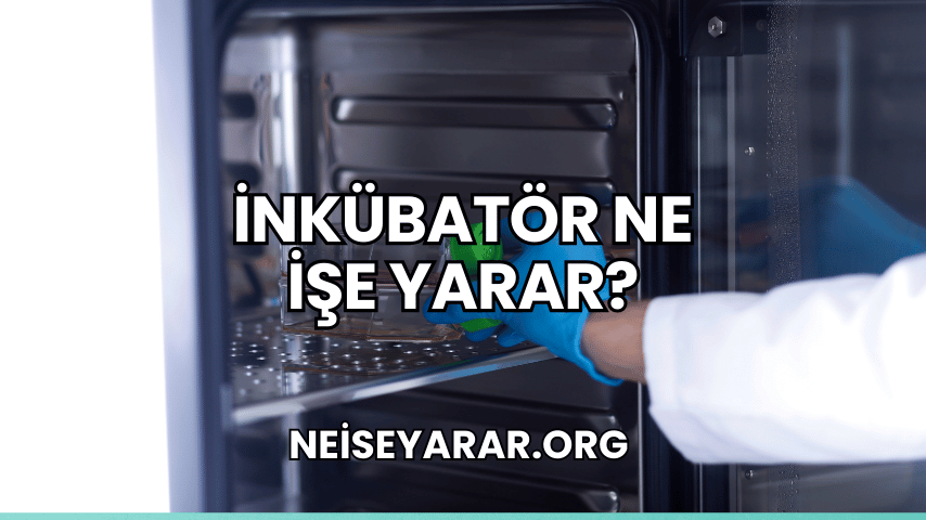 İnkübatör Ne İşe Yarar?