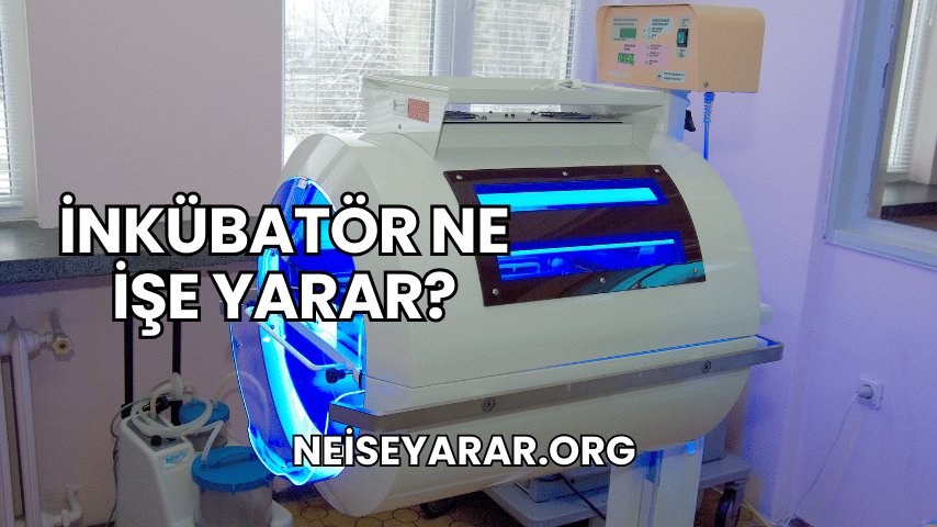 İnkübatör Ne İşe Yarar?