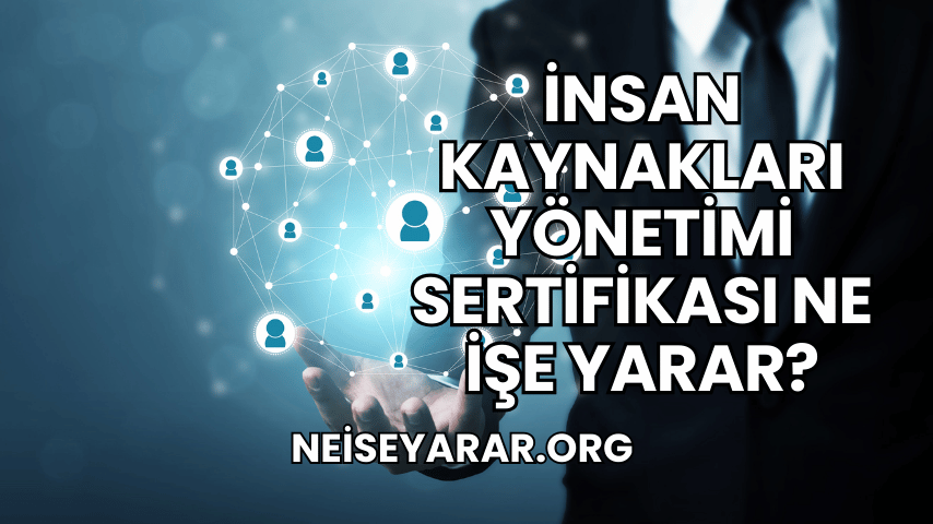 İnsan Kaynakları Yönetimi Sertifikası Ne İşe Yarar?