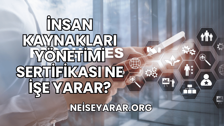 İnsan Kaynakları Yönetimi Sertifikası Ne İşe Yarar?