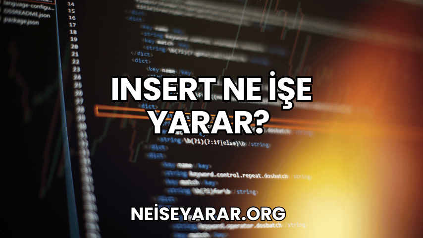 Insert Ne İşe Yarar? 