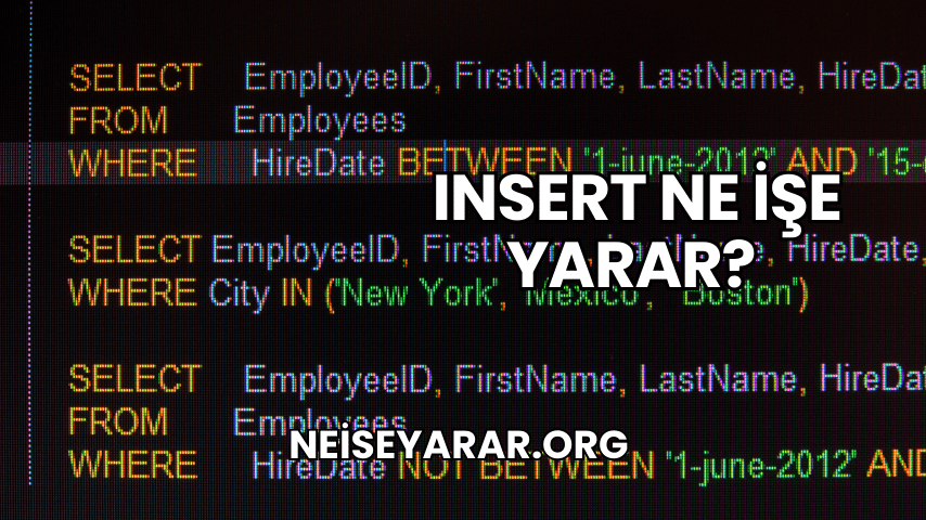 Insert Ne İşe Yarar? 