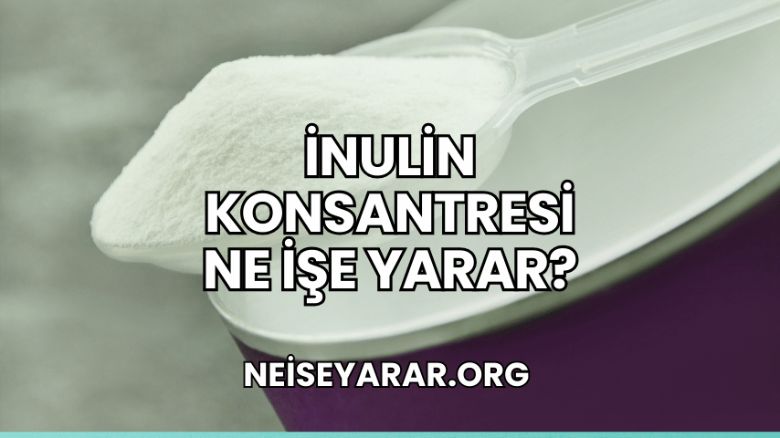 İnulin Konsantresi Ne İşe Yarar?