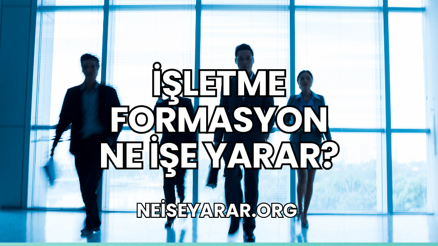 İşletme Formasyon Ne İşe Yarar?