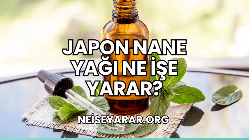 Japon Nane Yağı Ne İşe Yarar?